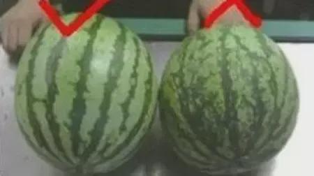 每日热门吃瓜,揭秘娱乐圈最新猛料