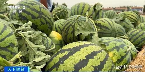 每日热门吃瓜,揭秘娱乐圈最新猛料