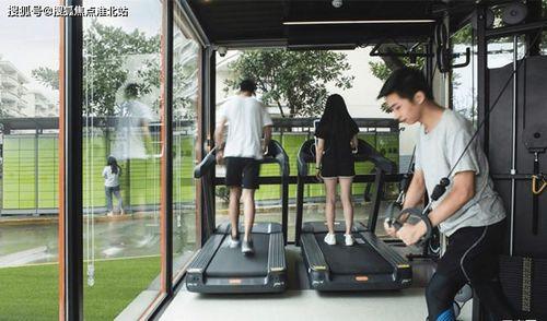 吊瓜今日行情走势最新,今日波动解析，趋势展望