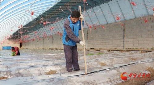 今日瓜州疫情严重不,全力抗击刻不容缓