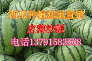 宁夏瓜产地今日行情价格,今日行情价格一览”