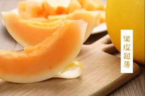 上热门切开翠雪绿蜜宝瓜,揭开夏日清凉美食的神秘面纱