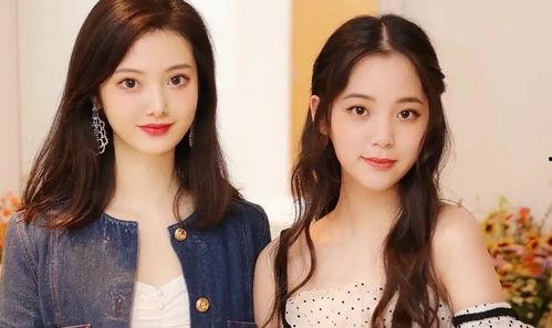明星网红对比照片,揭秘颜值变化之谜