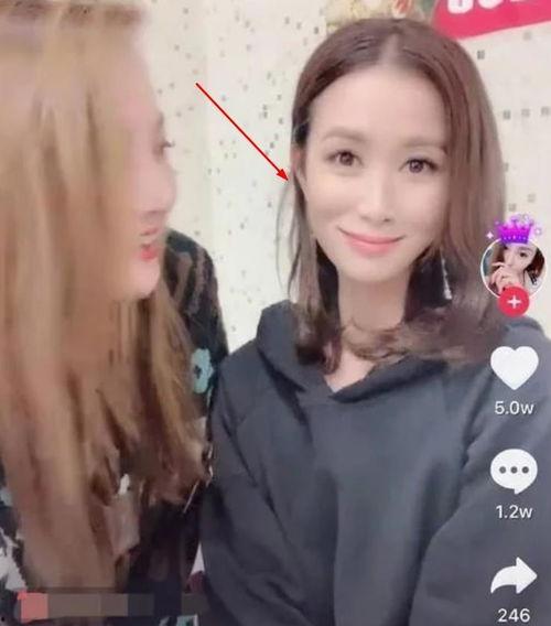 现在都当明星网红,当红明星与网红的璀璨时代