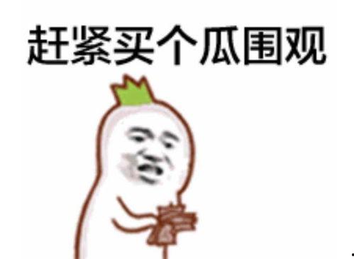 今日吃瓜爆料正能量图片表情包,趣味表情包传递欢乐与温馨