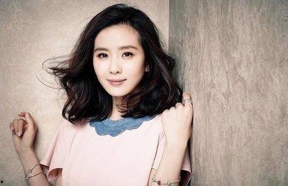 刘姓明星网红排名,盘点人气爆棚的璀璨之星