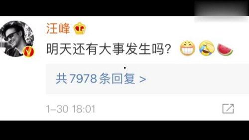 娱乐圈吃瓜账号叫什么了,揭秘幕后故事与热点事件