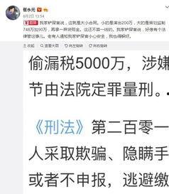 明星网红漏税案例分享