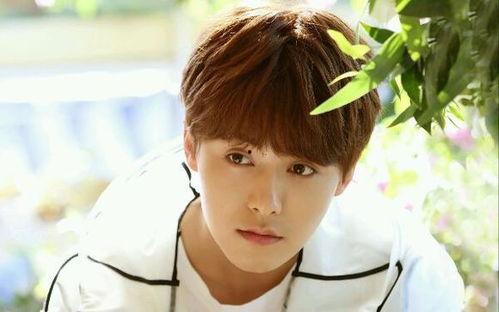 吃瓜爆料马天宇视频完整版,吃瓜爆料背后的真相与情感纠葛