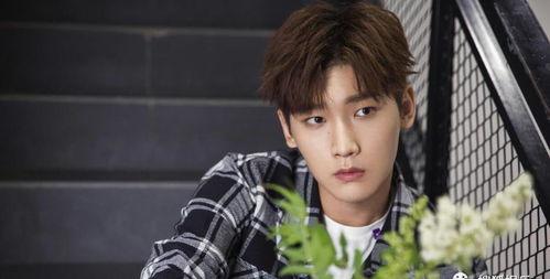 吃瓜爆料丁禹兮张予曦,娱乐圈新恋情引热议