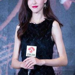 lv硬饼明星网红,网红美食界的璀璨明星