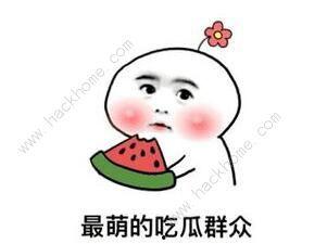 抖音热门梗瓜六的由来,揭秘网络热梗背后的趣味与智慧