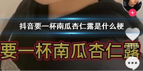 抖音热门梗瓜六的由来,揭秘网络热梗背后的趣味与智慧