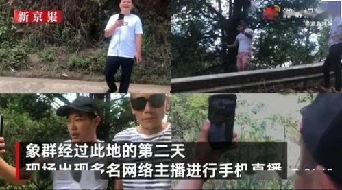 热门吃瓜警官张津瑜视频,揭秘背后惊人真相