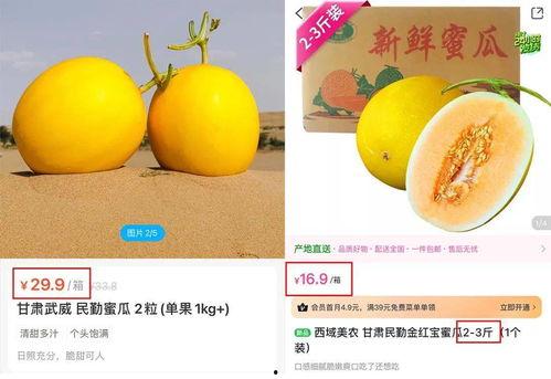 甘肃民勤蜜瓜今日价格,甜蜜新季，行情看涨