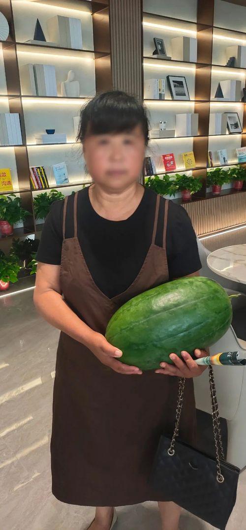 蒙阳麒麟瓜今日价格,价格行情一览