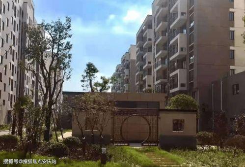 湛江水瓜今日行情最新,今日价格走势分析”