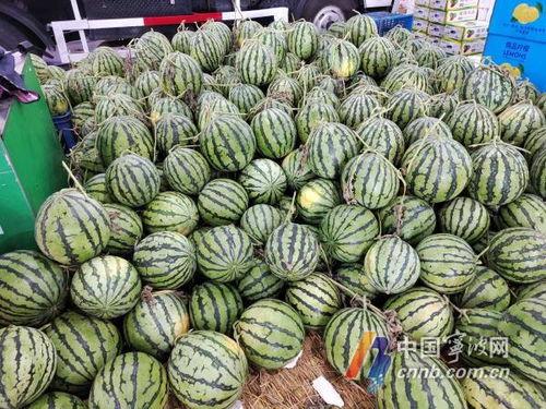 宁波吃瓜热门事件,一场网络热议背后的真相揭秘