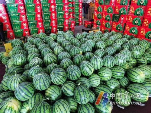 宁波吃瓜热门事件,一场网络热议背后的真相揭秘