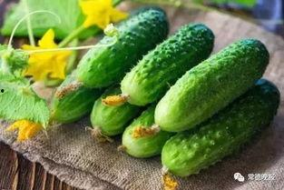 今日头条立夏吃瓜,今日头条带你解锁立夏吃瓜新风尚