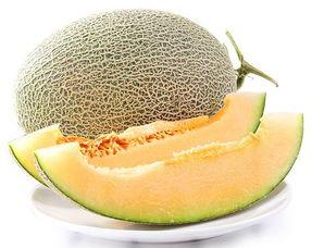 山东哈密瓜今日行情,丰收季里的价格波动与市场动态