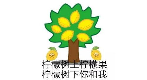 盘点网络热门瓜,揭秘娱乐圈、科技圈、社会热点背后的故事