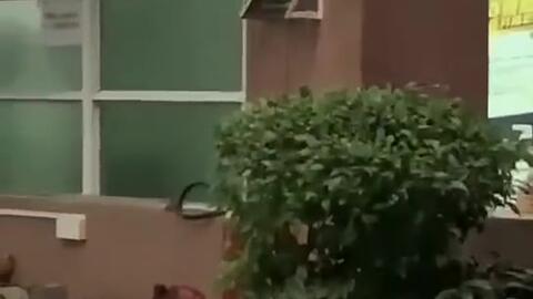 热门吃瓜今日吃瓜新闻