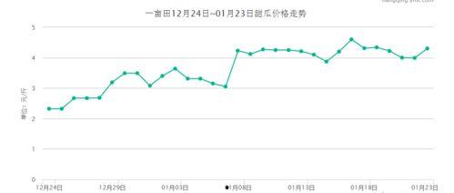 今日金红宝瓜价格走势,今日市场行情解析
