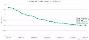 今日金红宝瓜价格走势,今日市场行情解析