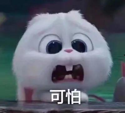 广州吃瓜爆料事件真相揭秘,揭秘背后真相与真相大白