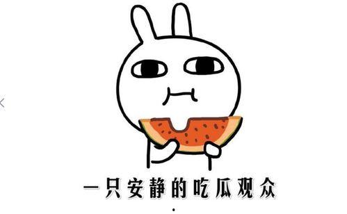 热门黑瓜吃料网