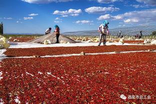 瓜州疫情今日情况最新,多举措应对，防控形势持续向好