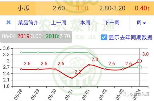 今日小瓜走势预测最新,洞察今日走势，预见未来趋势