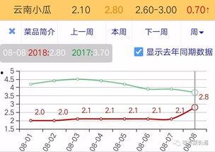 今日小瓜走势预测最新,洞察今日走势，预见未来趋势