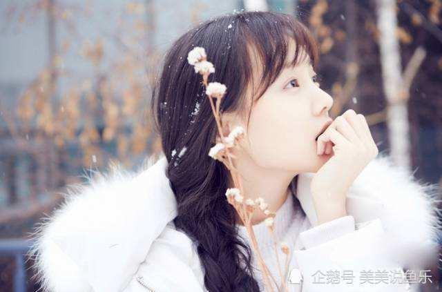 山东济南明星网红,明星级影响力背后的济南故事