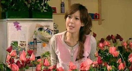 山东济南明星网红,明星级影响力背后的济南故事