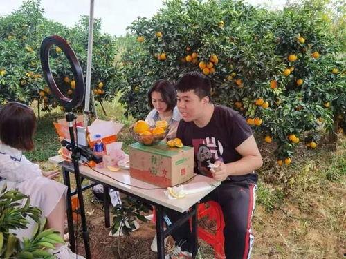 江西瑞金明星网红基地,打造红色旅游新地标