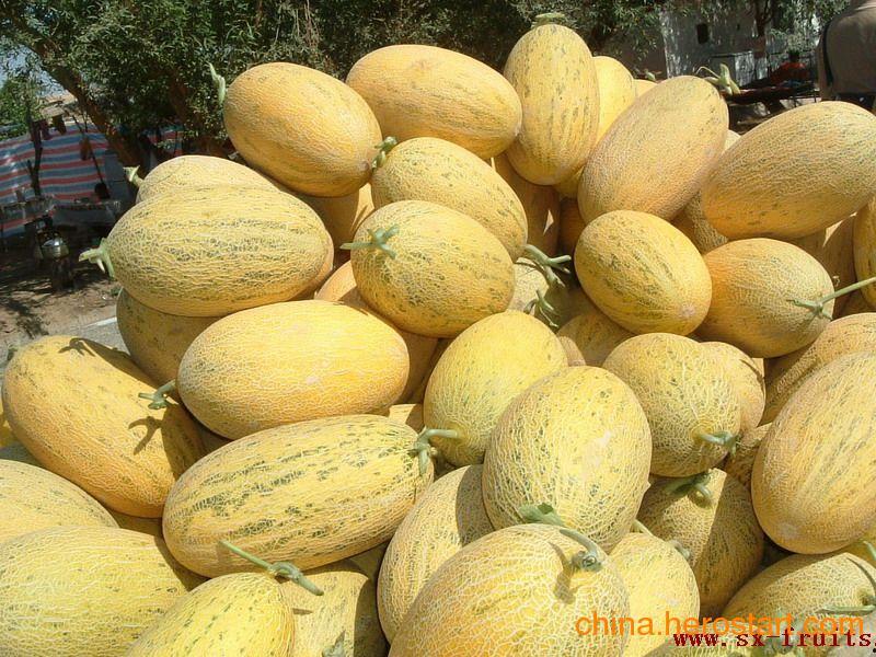 今日哈密瓜价格查询,今日市场行情一览