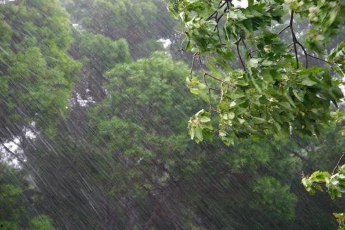 今日大暑 浮瓜陈李,浮瓜陈李共度清凉夏日