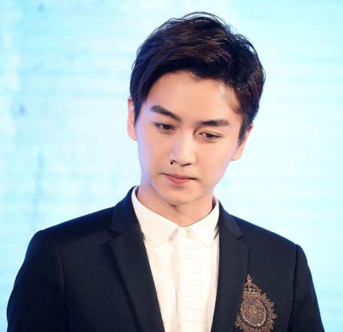 火的男明星网红