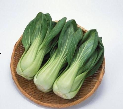 南方今日瓜菜价格,新鲜行情一览”