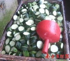 南方今日瓜菜价格,新鲜行情一览”