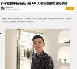 东三省明星网红,东北明星网红风采录