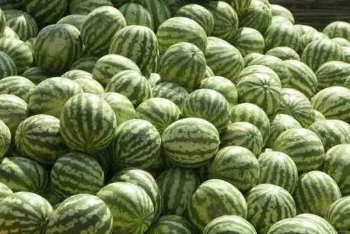 南充吃瓜爆料事件真相揭秘,揭秘背后真相，还原事实真相