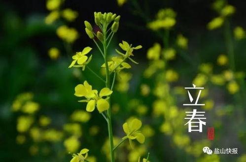 今日立春吃瓜视频,一起品味传统美食的魅力