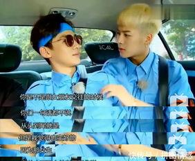 和明星网红互动趣事,趣味横生的甜蜜碰撞