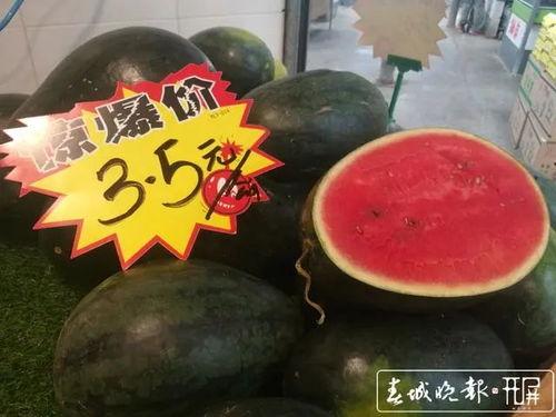 昆明小瓜价格今日价,市场行情实时解析