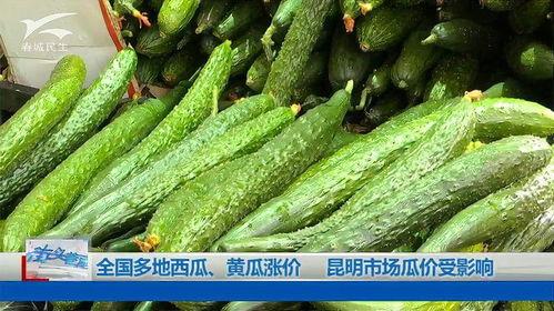 昆明小瓜价格今日价,市场行情实时解析