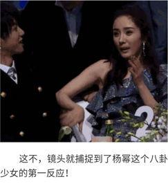 明星八卦爆料吃瓜视频下载,吃瓜视频下载背后的真相