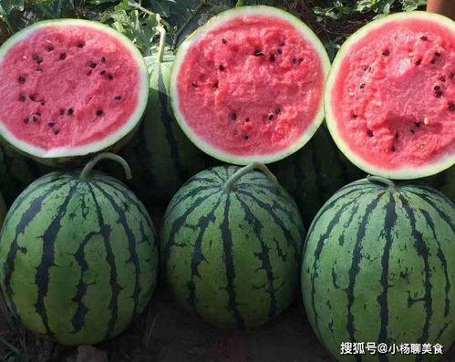 今日吃瓜官网首页,揭秘娱乐圈最新热点，带你畅游八卦海洋！